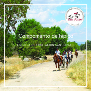 Campamento de hipica en Madrid